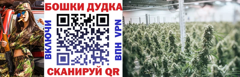 Шишки марихуана план  Кропоткин 